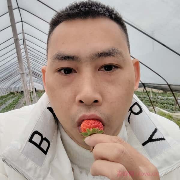福建征婚相亲网